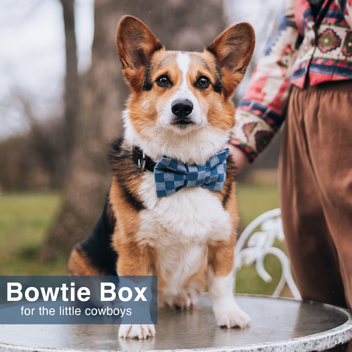 Luxury Bowtie Gift Box