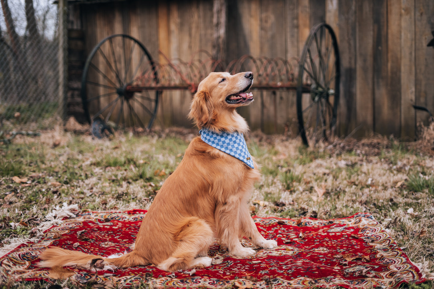 Dapper Denim