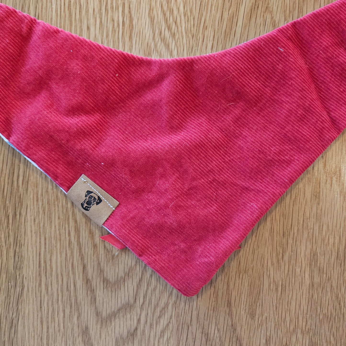 Medium/Large | Second Chance Bandana