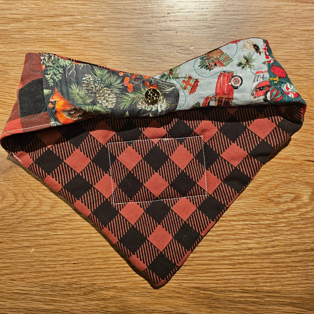 Medium/Large | Second Chance Bandana
