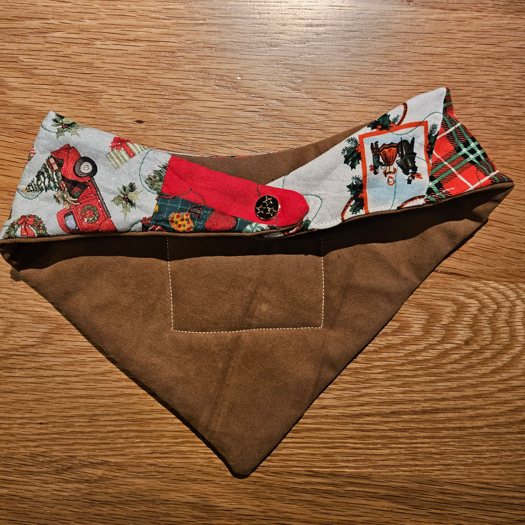 Medium/Large | Second Chance Bandana