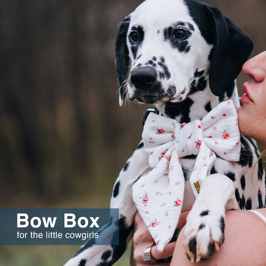 Luxury Girl Bow Gift Box