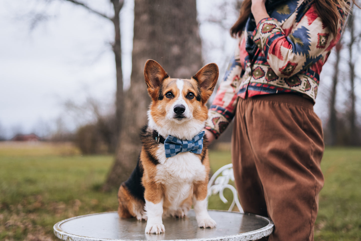 Dapper Denim Bowtie